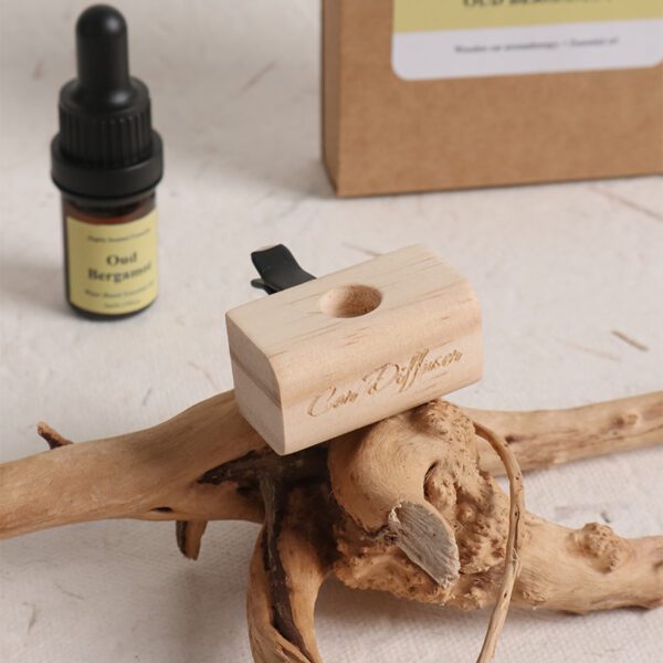 car essential oil air freshener