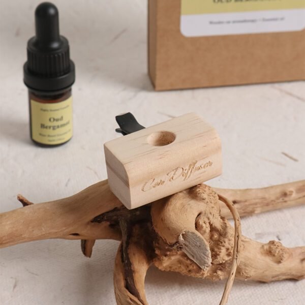 car essential oil air freshener